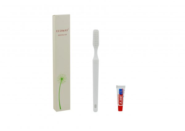 ECOWAY Dental Kit