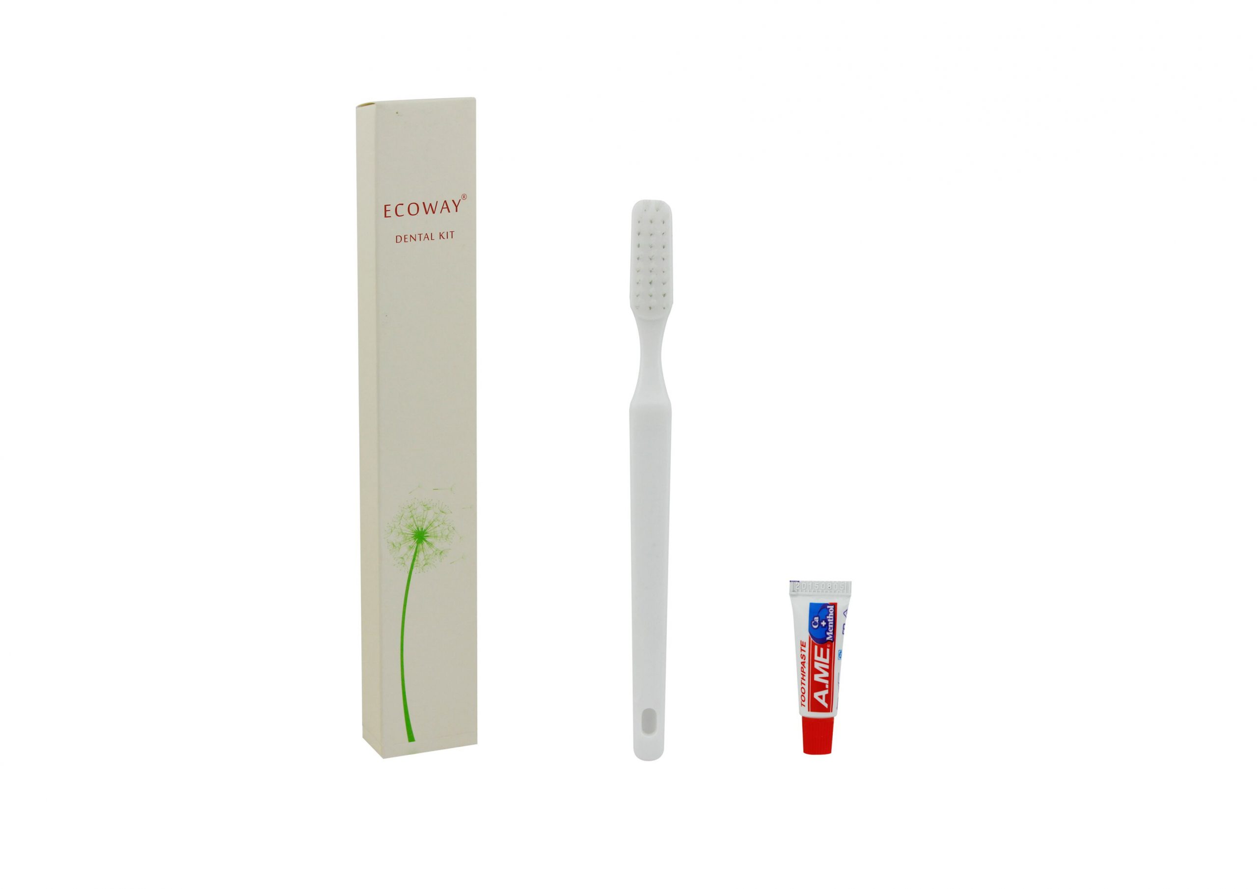 dental kit